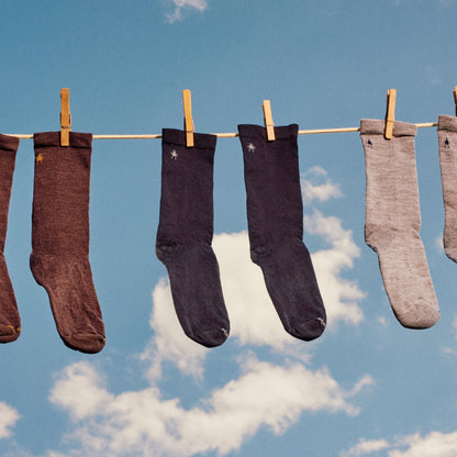 Everyday Anchor Line Crew Socks