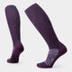 Purple Iris
