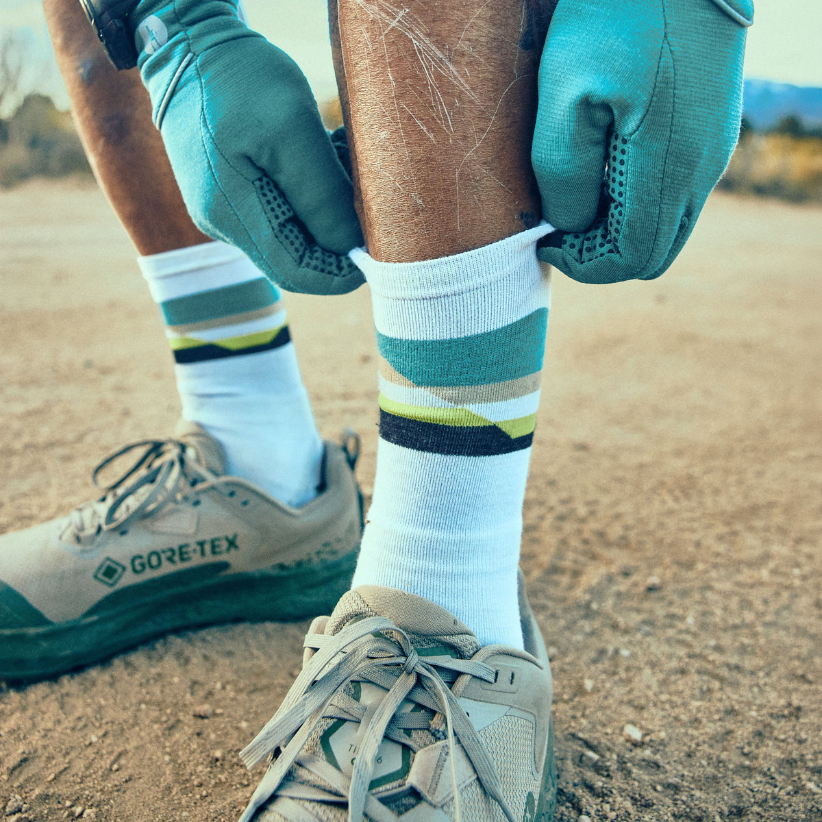 Run Cold Weather Horizons Crew Socks