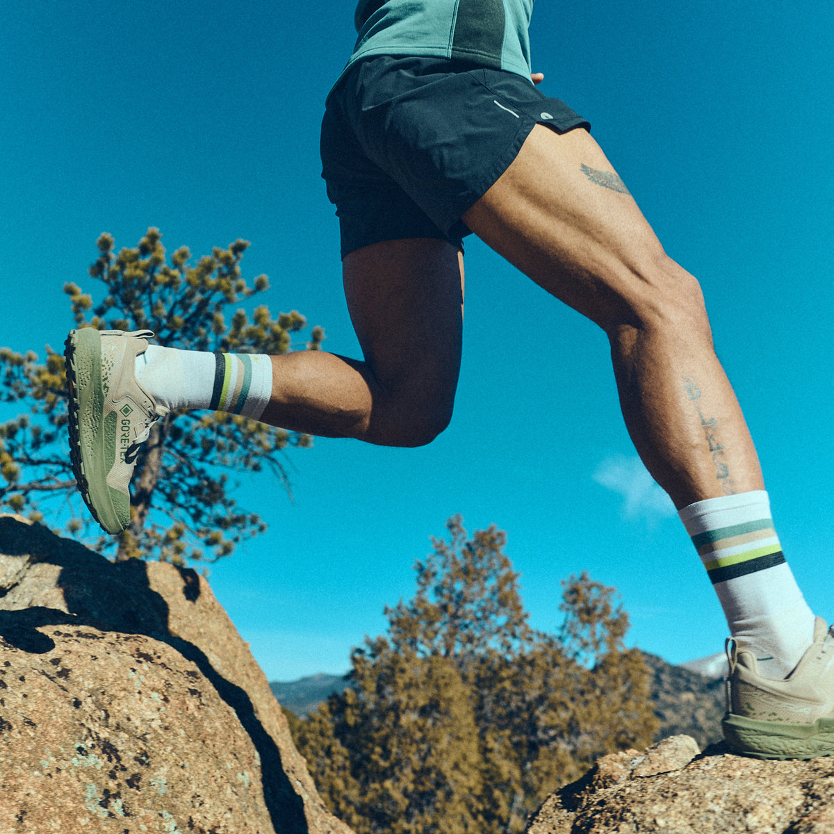 Run Cold Weather Horizons Crew Socks